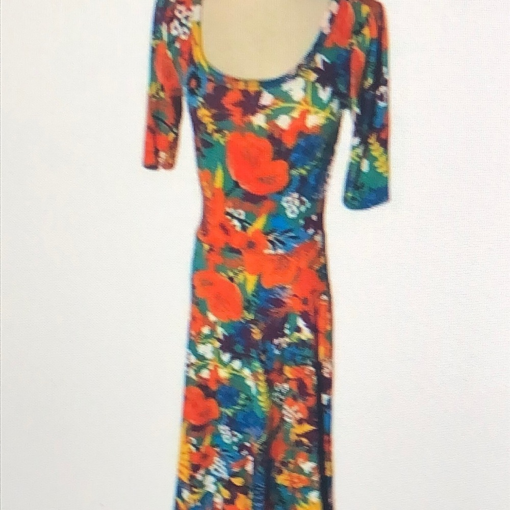 Beautiful floral Lulu Roe stretchy Maxi Dress